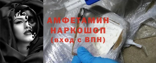 хмурый Новозыбков