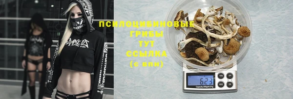 кокс Нягань