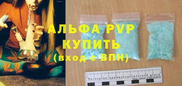 хмурый Новозыбков